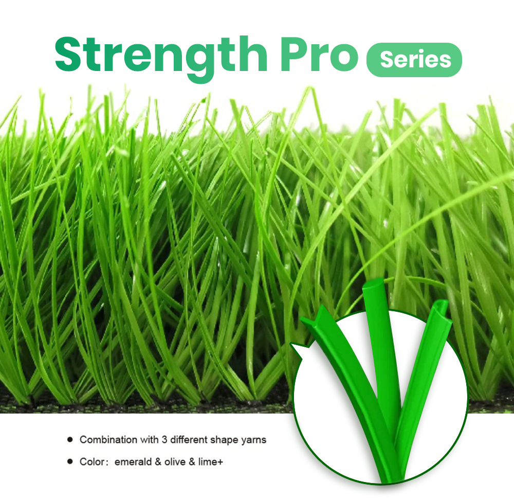 Strength Pro